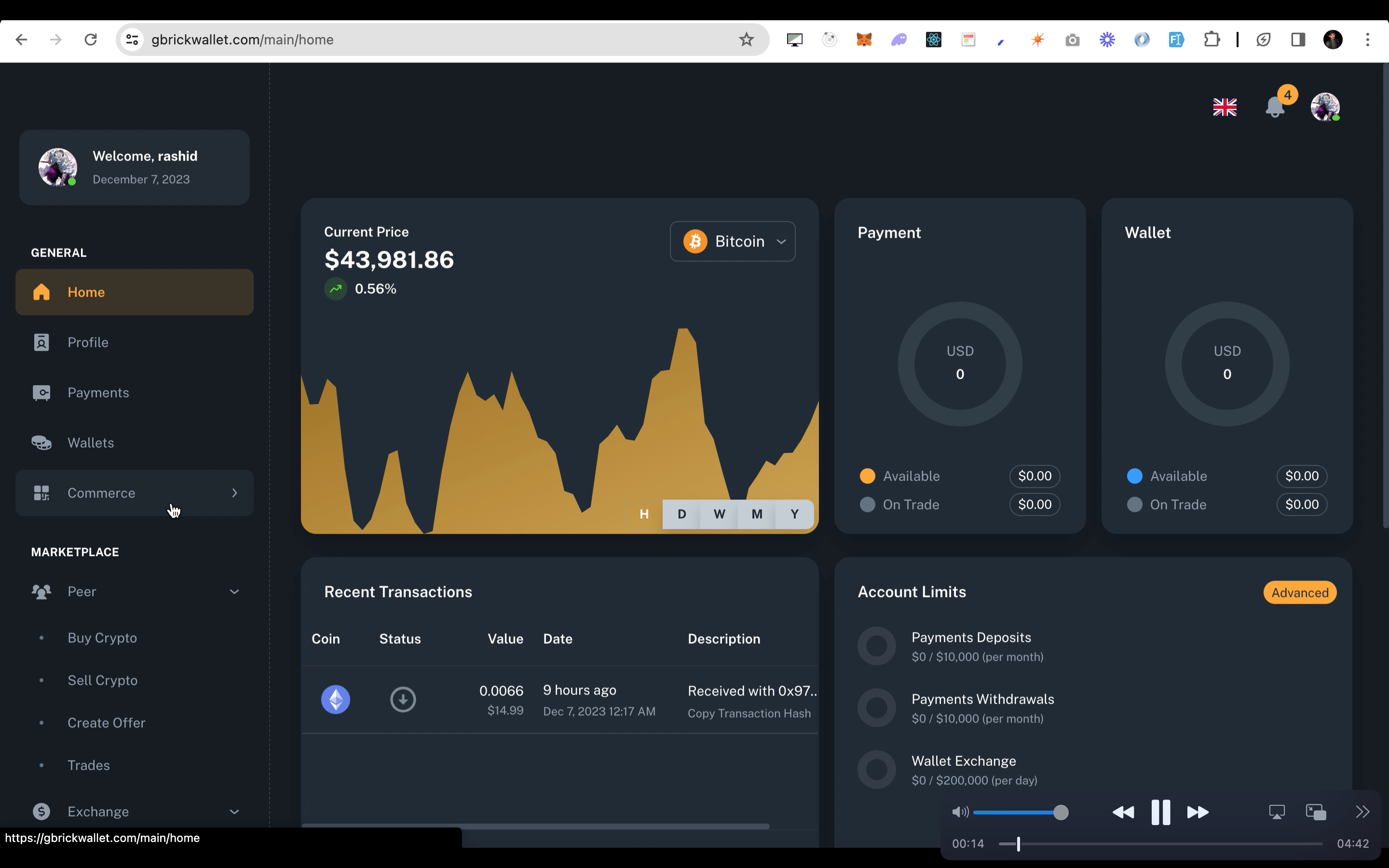 Gbrick Wallet